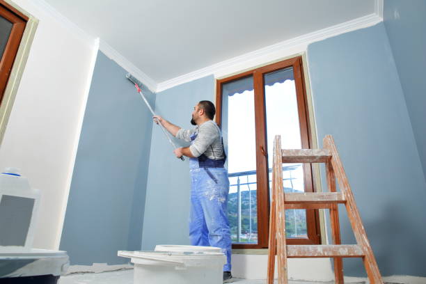 Best Eco-Friendly and Low-VOC Painting  in Nashvle, IL